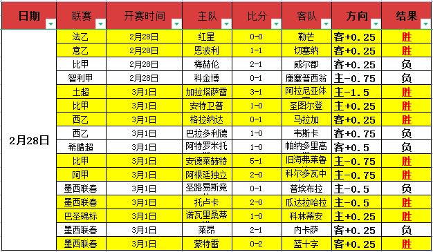 拉德尼基主,场战况预测,两场胜利后,世界杯外围,2026世界杯,投注指南,平台推荐,体育博彩