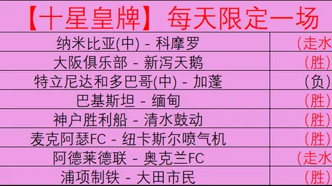 林总FIFA赛精选：新西兰VS智利对决